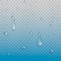 Realistic vector water drops 