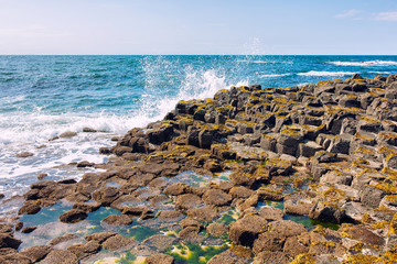 summer giants causeway coastline,Northern Ireland