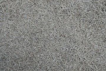texture background of hey, nature brown grass background