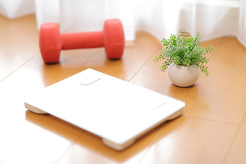 ダイエットイメージ