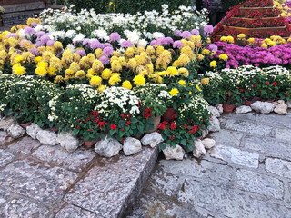 Landscaped Flowers in the garden