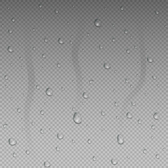 Vector realistic isolated water drops 