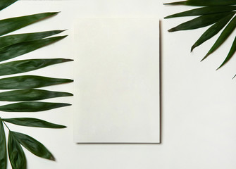 Travel and vacation concept. Paper blank in a frame of green tropical palm leaves on a white background. Free space for your text.
