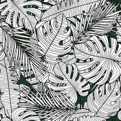 Seamless pattern with outline monstera line leaves. Tropical pattern, botanical leaf wallpaper.