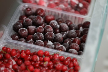 frozen barries close up, keep fresh berries for the winter in the refrigerator