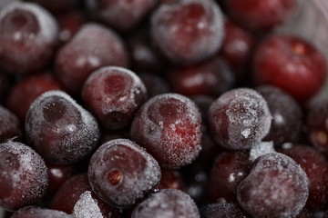 frozen cherry close up, keep fresh berries for the winter in the fridge 