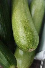 Fresh cucumbers and zucchini on the table