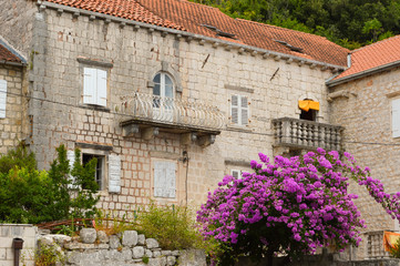 Fototapeta na wymiar Old stone buildings on the hillside surrounded by trees and foliage, Montenegro