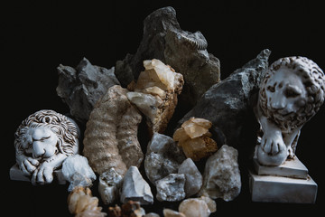 Composition of fossilized animal remains, stones, minerals and figurines