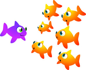 Fototapeta premium different goldfish