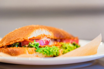 Close up delicious hot dog sandwich on plate