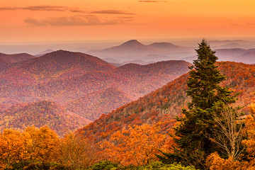 Brasstown Bald, Georgia, USA view of Blue Ridge Mountains in autumn - Powered by Adobe