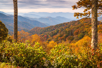Smoky Mountains National Park, Tennessee autumn landscape at Newfound Gap