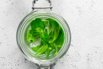 Fresh basil in glass jar with water on white background