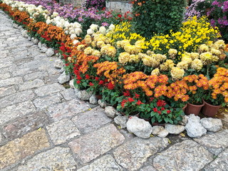 Landscaped Flowers in the garden