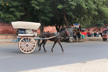 Horse carriage on the street of Indian city Jaipur, Rajasthan