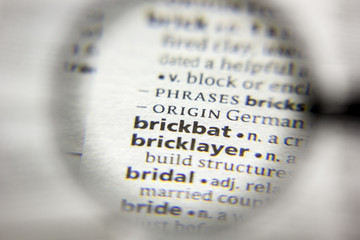 The word or phrase Brickbat in a dictionary.
