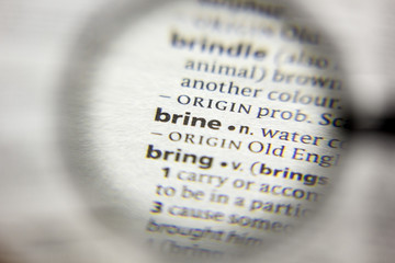 The word or phrase Brine in a dictionary.