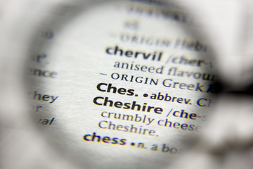 The word or phrase Ches abbreviature in a dictionary.