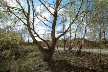 Landscape country daylight village blue sky clouds field hills. Sunny