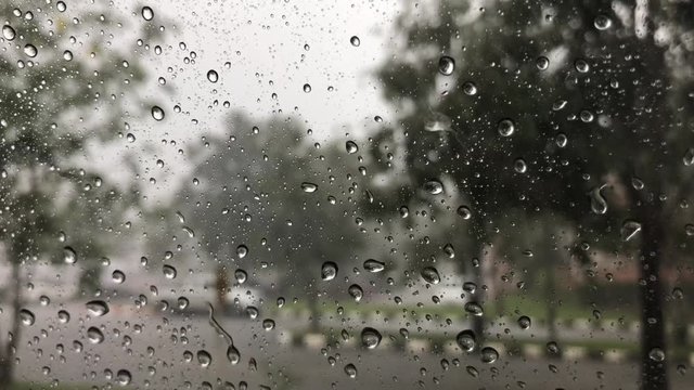 Raindrops hit the glass of the car. Rain drops hits the car glass on the road. Raindrops hit the car glass on a tree road background.
