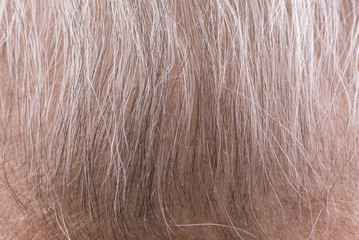 gray hair old man macro closeup