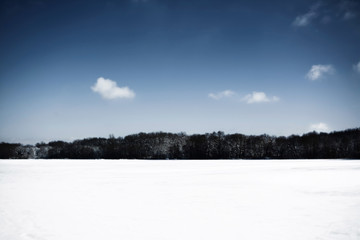 Forest on the bank of a frozen river under blue sky on a winter day