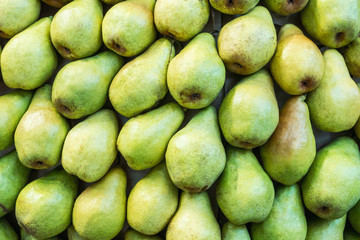 ripe pears harvested from trees. background of the pears