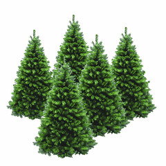 Fototapeta premium pine tree vector illustration isolated on white background. Realistic pine tree illustration. Vector element for creating your design and illustrations. Winter tree.