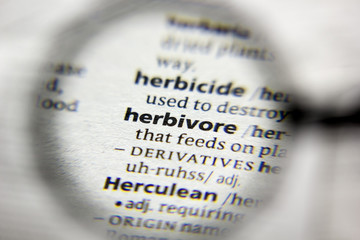 The word or phrase Herbivore in a dictionary.
