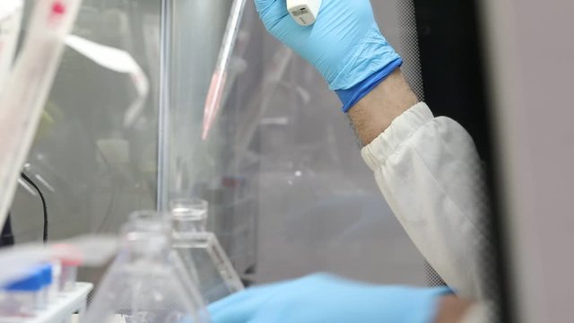 University researcher doing research on potentially anticancer substances