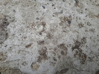  close-up of a decorative wall made of concrete, with a characteristic rough porous texture,...