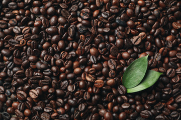 Textured background of coffee beans with leaf, close up