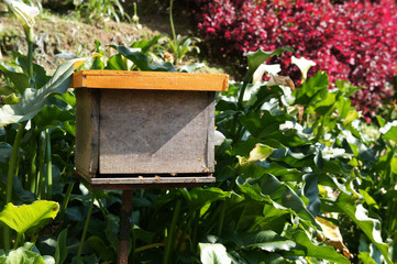 Man-made bee nests made of timber. Designed in box form. Placed in a flower garden to help bees get honey.