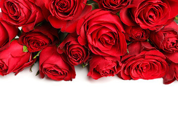 Composition with bouquet of red roses isolated on white background, closeup