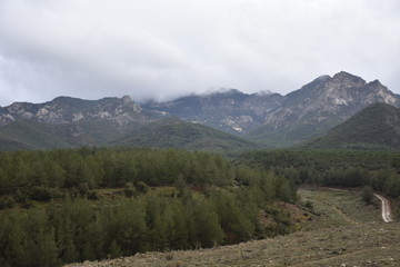 landscape in the mountains