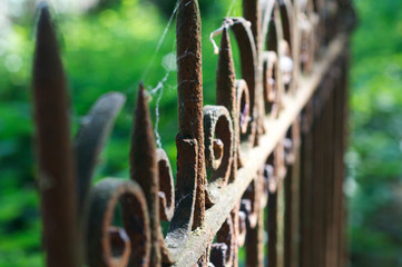 old rusty lattice on a graveyard with cobweb of spider diagonally green background blurred