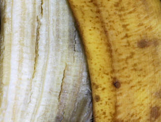 Close-up texture of a banana peel