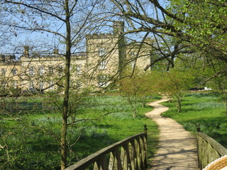 Path to the Castle