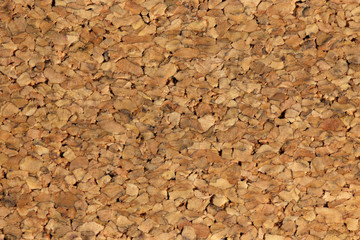 Close-up texture of a cork board