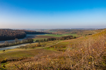 Blick vom Horn auf die Weinberge und den Wald im Stromberg