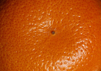 Close-up of the surface texture of an orange