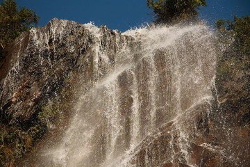 Waterfall in Primeval rainforest in New Zealand with thick lush evergreen vegetation and tree fern in the Southern Alps
