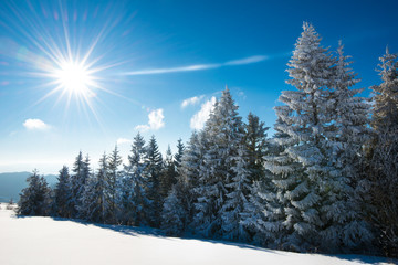 Mesmerizing winter landscape with a snowy slope