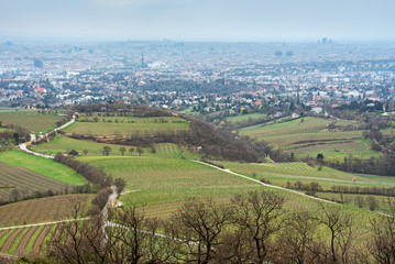 Fototapeta na wymiar View to Vienna from hill.