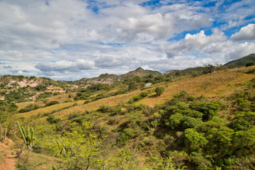 Fototapeta na wymiar Sunseet Valley of Oaxaca Mexico