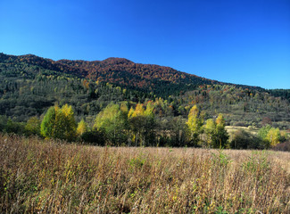 Fototapeta na wymiar Bieszczady National Park, Bieszczady Mountains, Carpathian Mountains, Poland