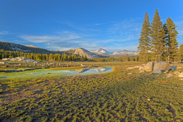Landscape of Tuolumne Meadows and Sierra Nevada Mountains, Yosemite National Park, California, USA 