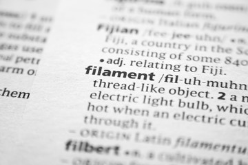 Word or phrase Filament in a dictionary.