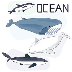 Obraz premium ocean animals dolphin whale shark